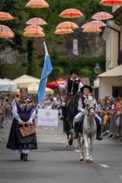 Povorka ob dnevih narodnih noš in oblačilne dedščine (5)